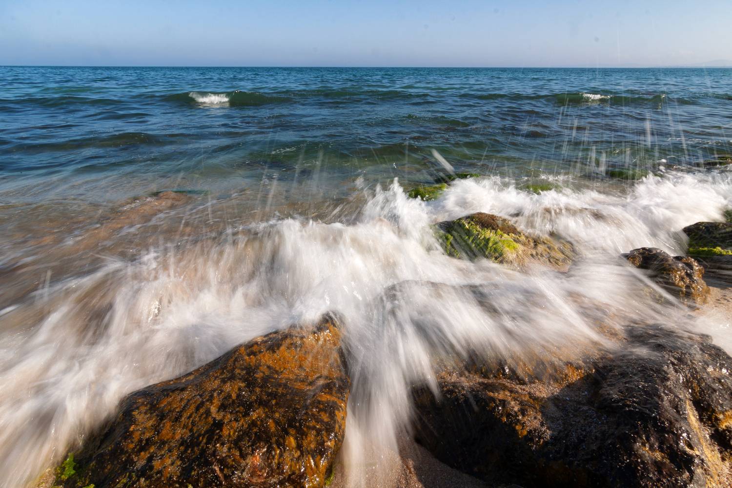 , Мариана Добрева