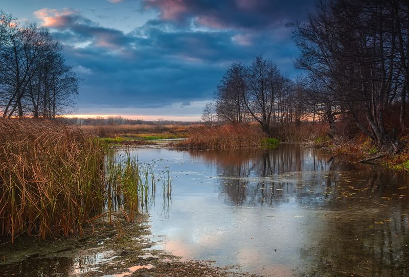 *** фото превью