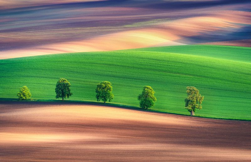 moravia, morava, česko, czech, sony, a7iv Chestnut alley фото превью