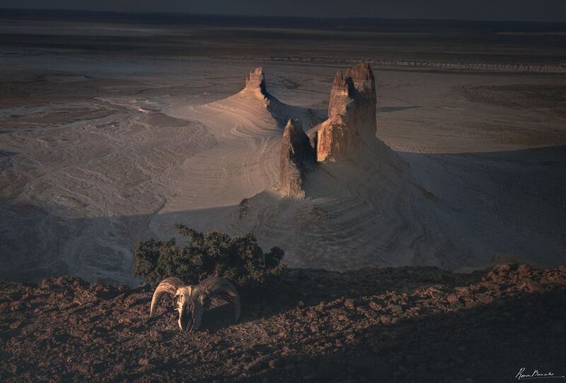 boszhira, mangystau, kazakhstan, босжира, мангистау, казахстан Boszhira valley фото превью