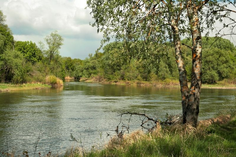 *** фото превью