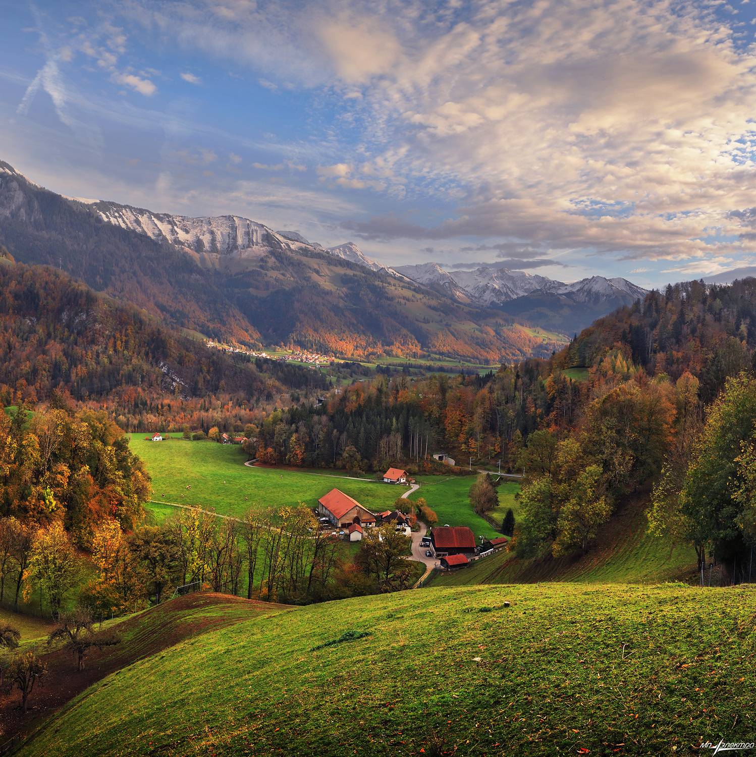swiss, Матвеев Николай