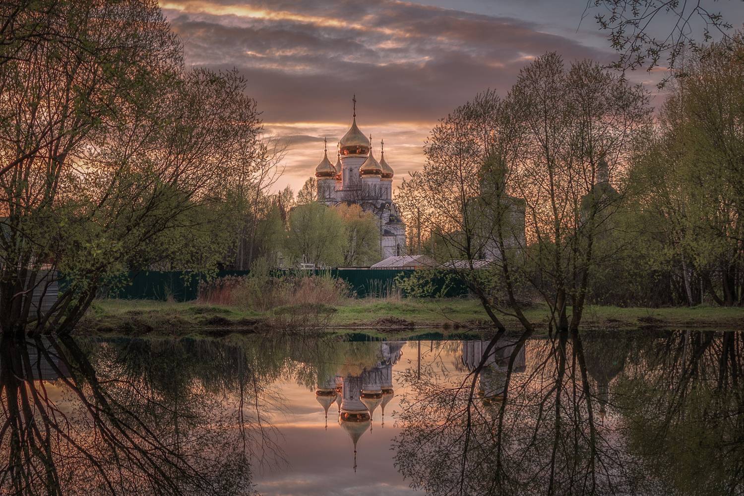 ярославская, область, Гусева Елена