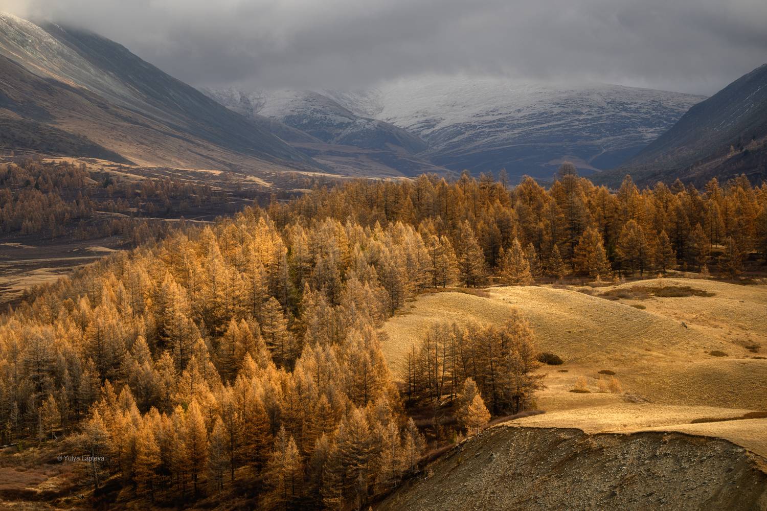 горный, алтай, Юлия Шустерова