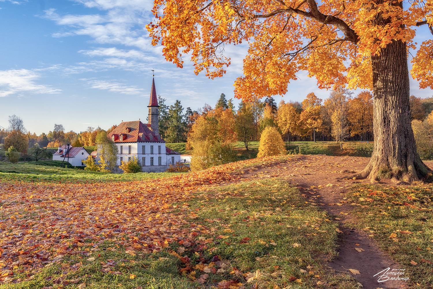 гатчина,  приоратский дворец, осень, Липецких Владимир