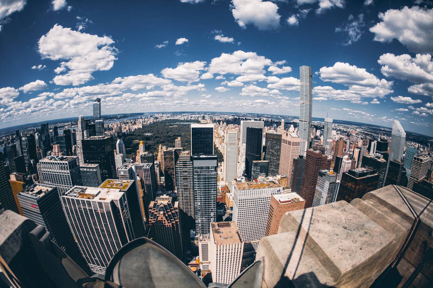 , Трепольский Дмитрий