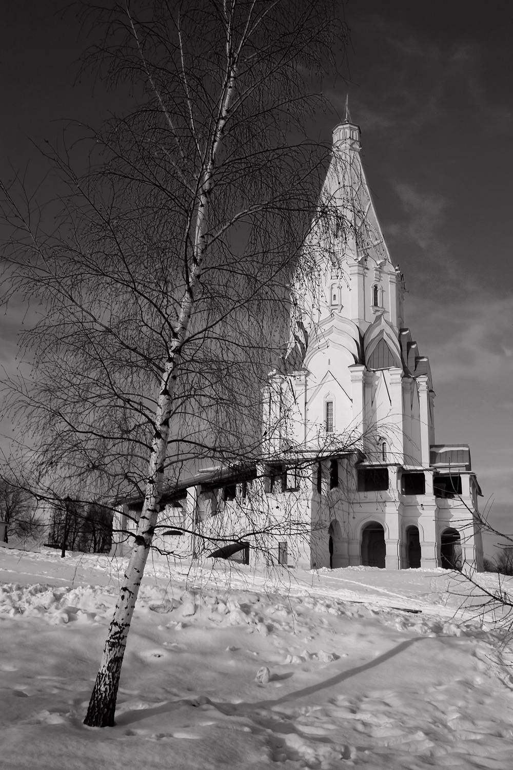 , Андрей Петросян