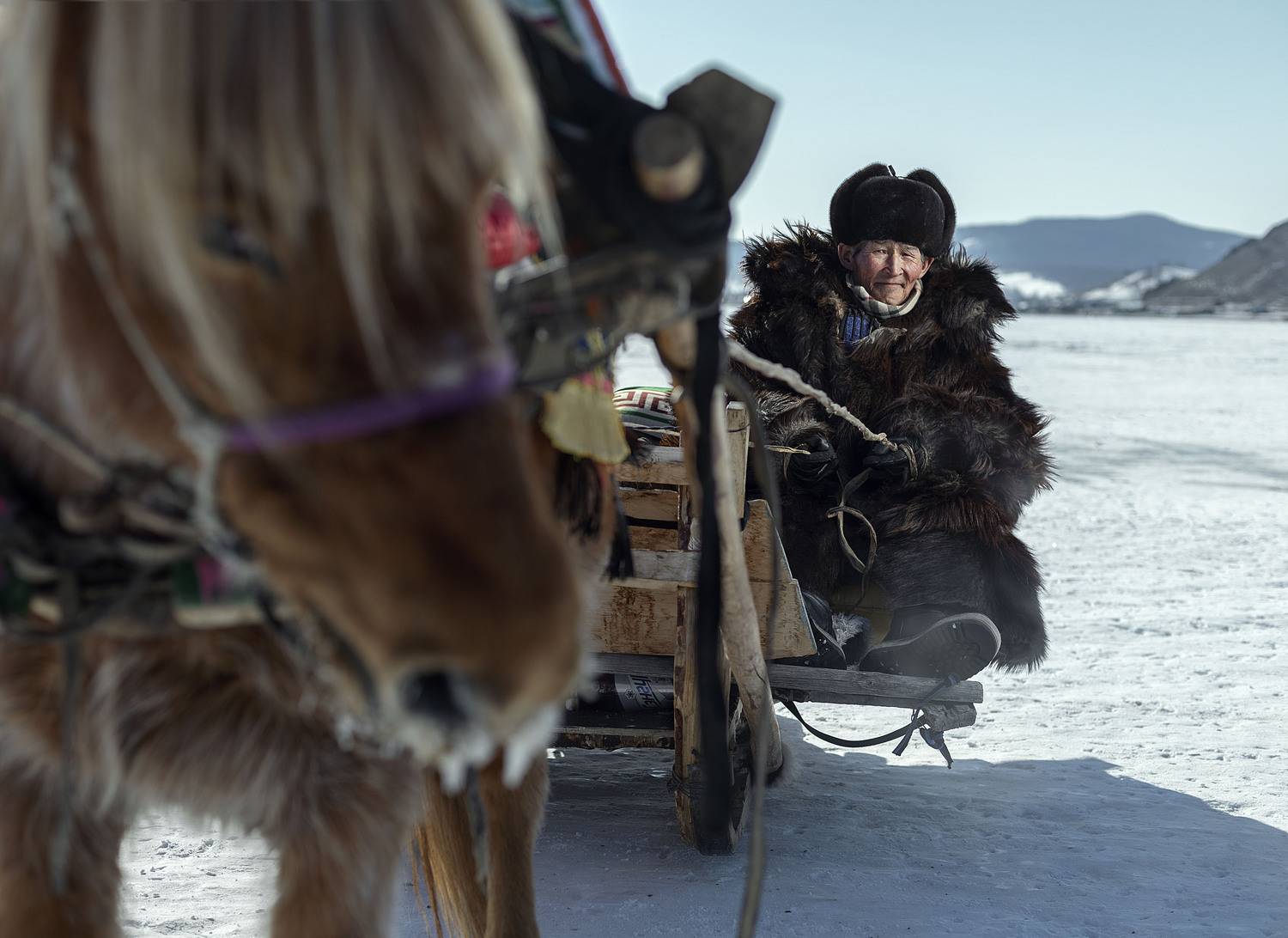 mongolian noamdic winter ice festival khuvsgul lake horse man portrait, ganzorig miimaa