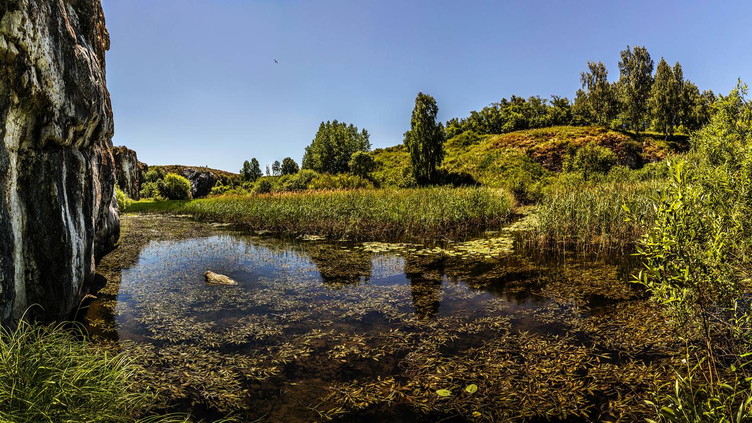 , Ушаков Валерий