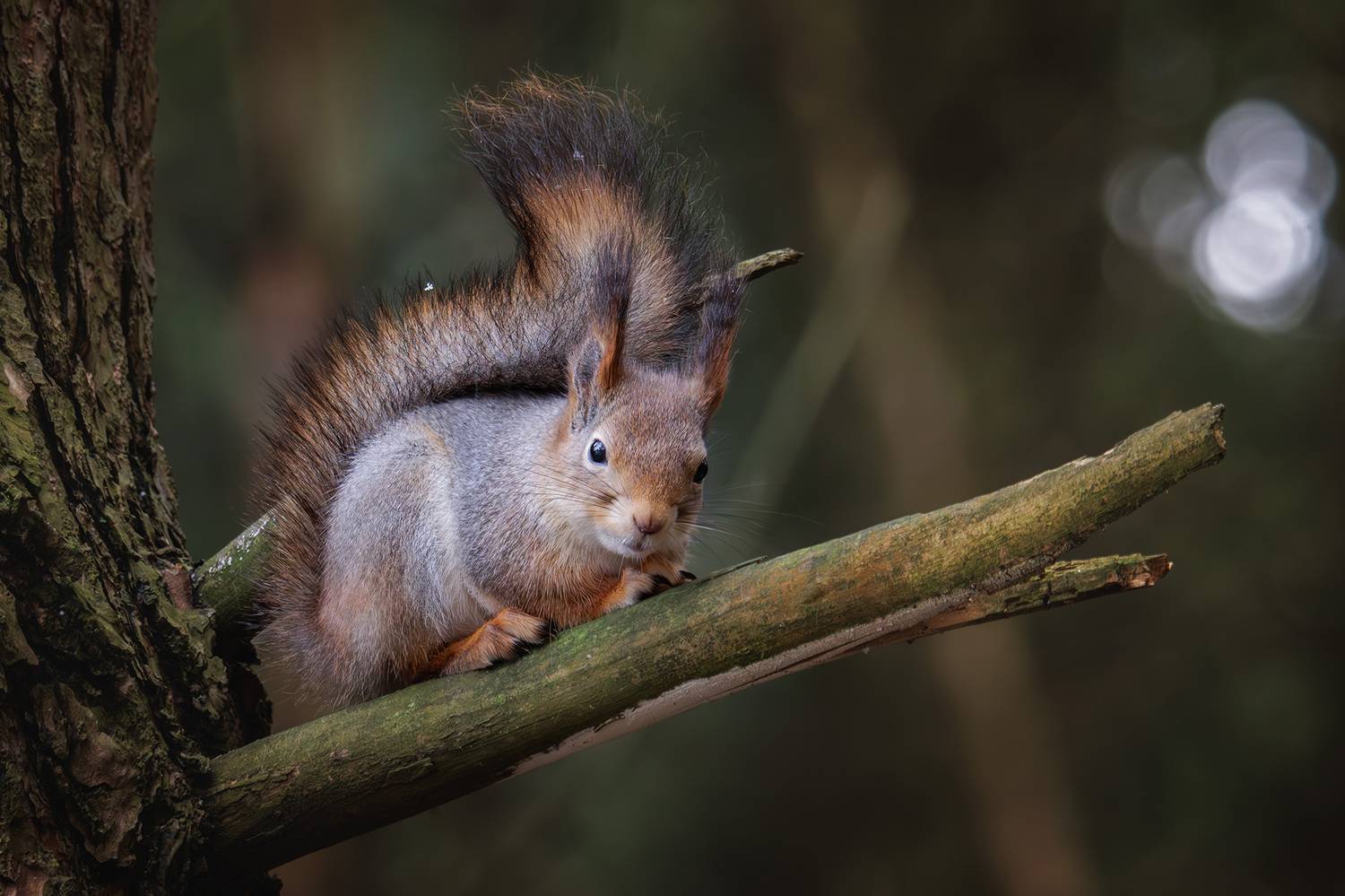 , Морозов Сергей
