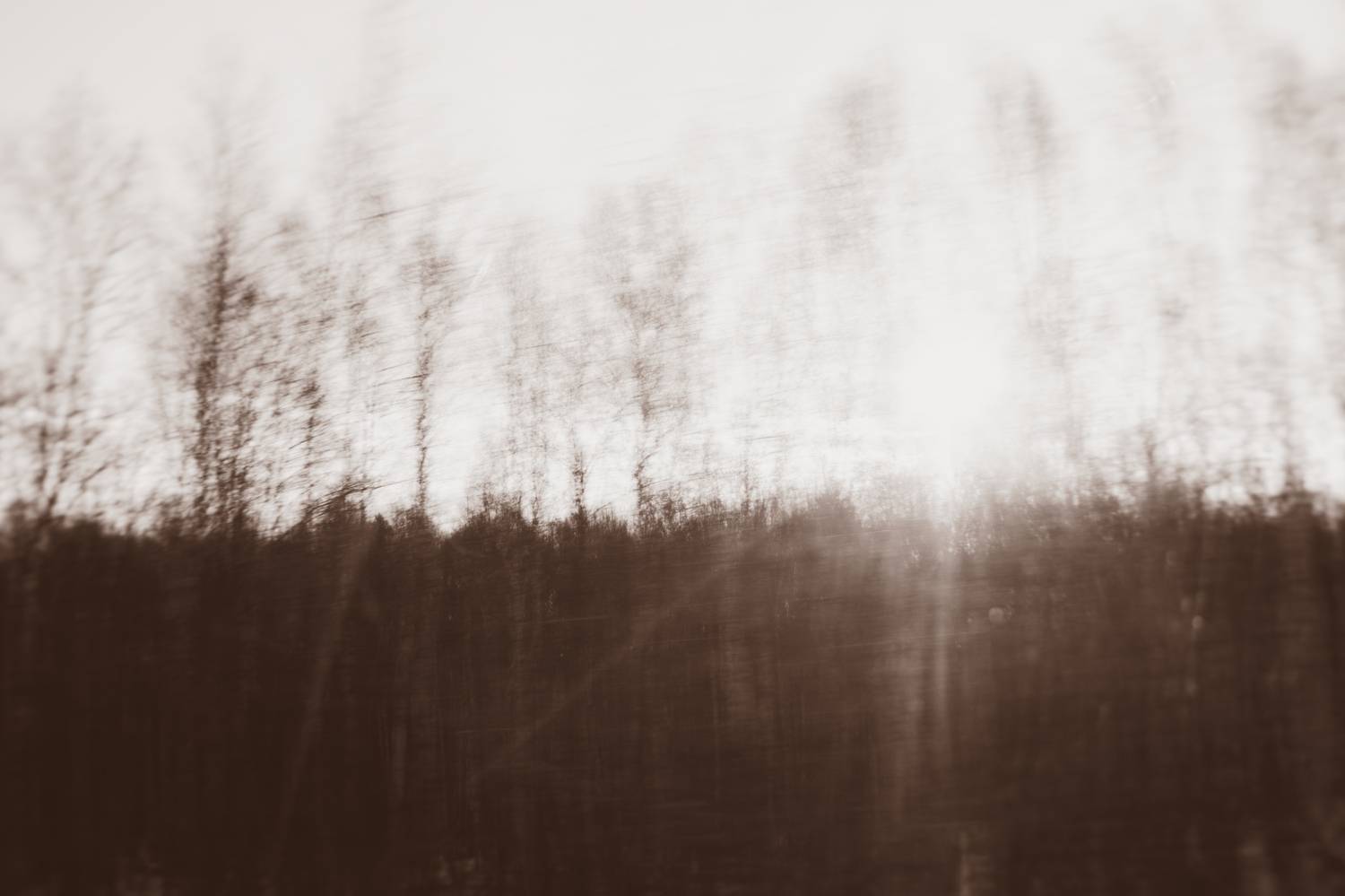 , Таня Смолевская