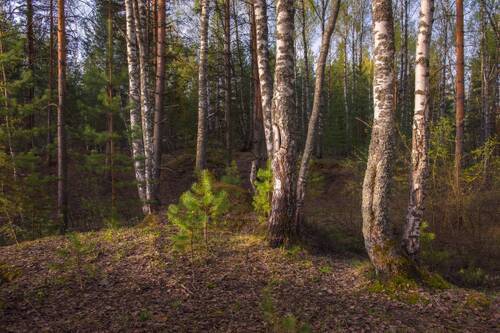 Апрельское утро