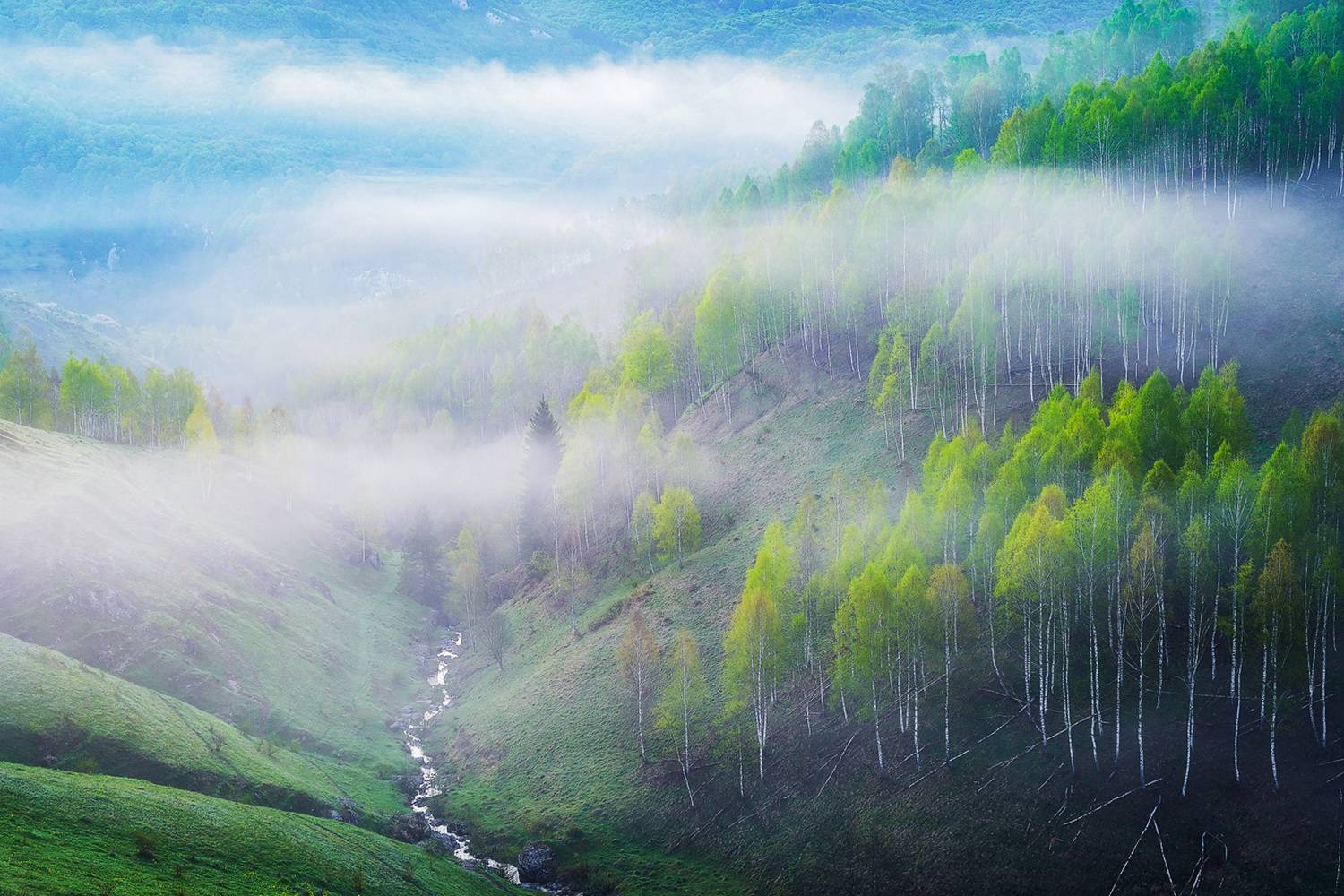 , Stefan Chirobocea