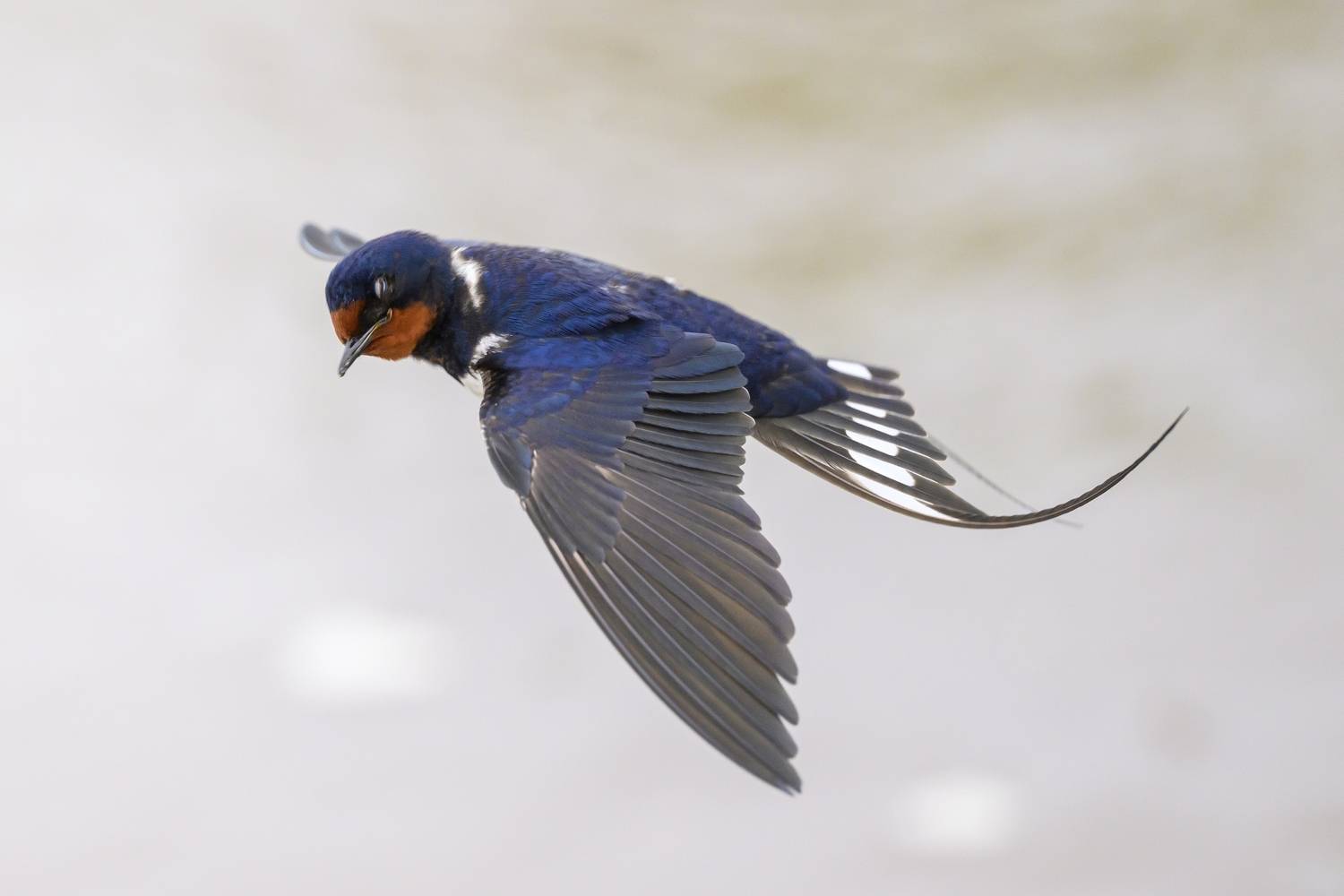 , Пупонин Сергей