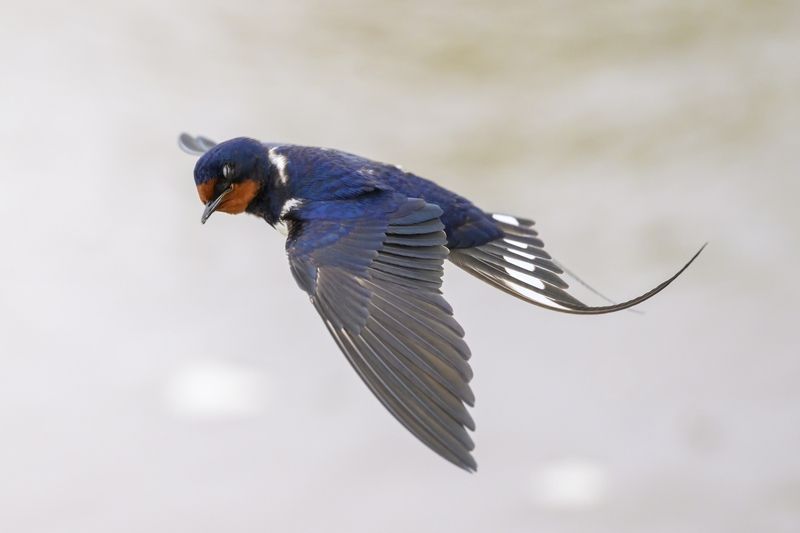 Не выспалась фото превью