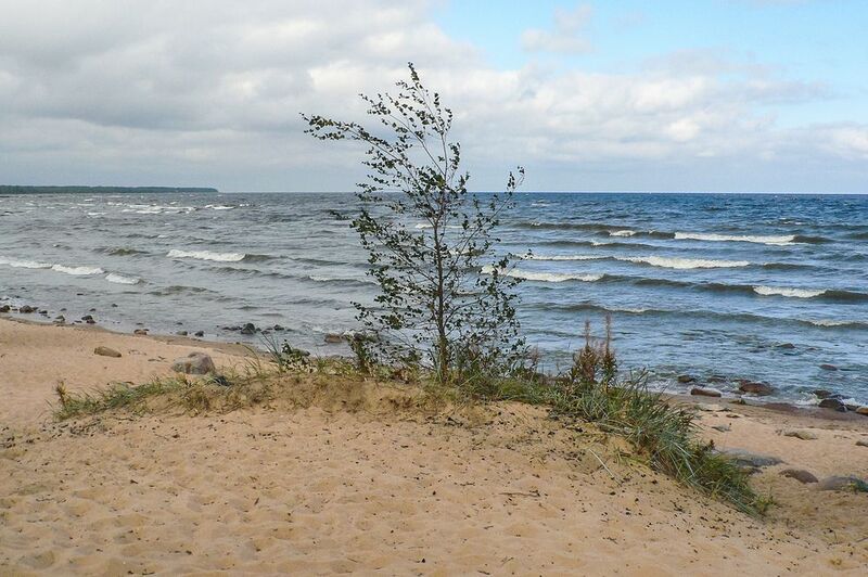 Ветер с моря дул фото превью