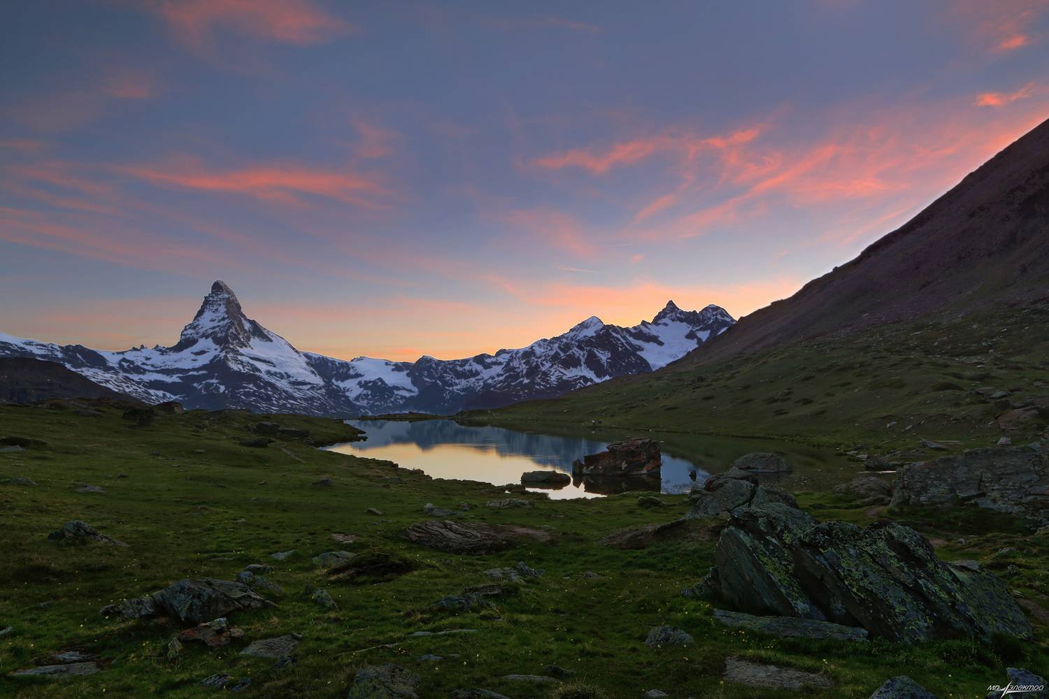 swiss, Матвеев Николай