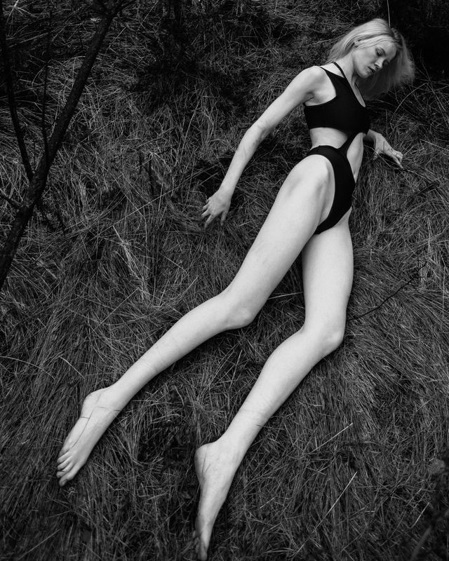 Polya фото превью