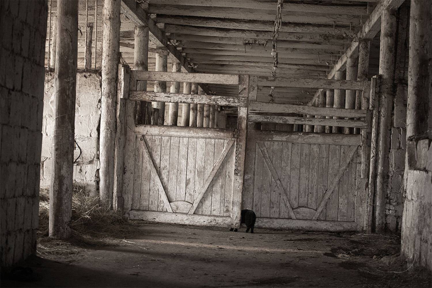 , Чудинин Дмитрий