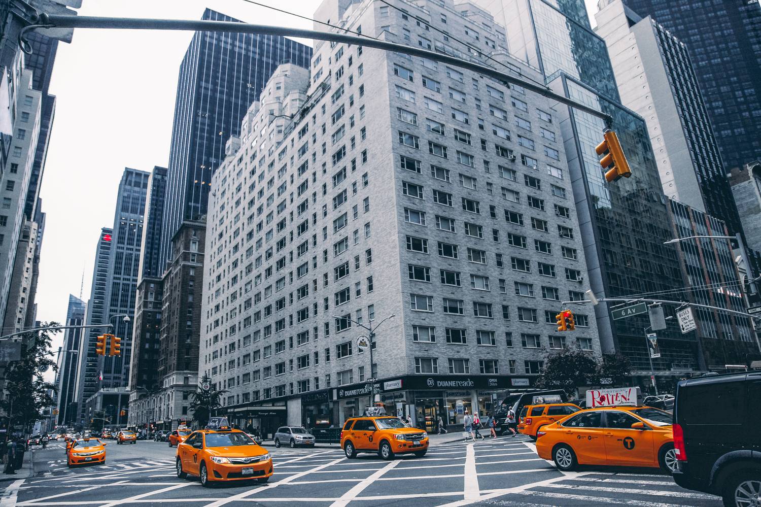 , Трепольский Дмитрий