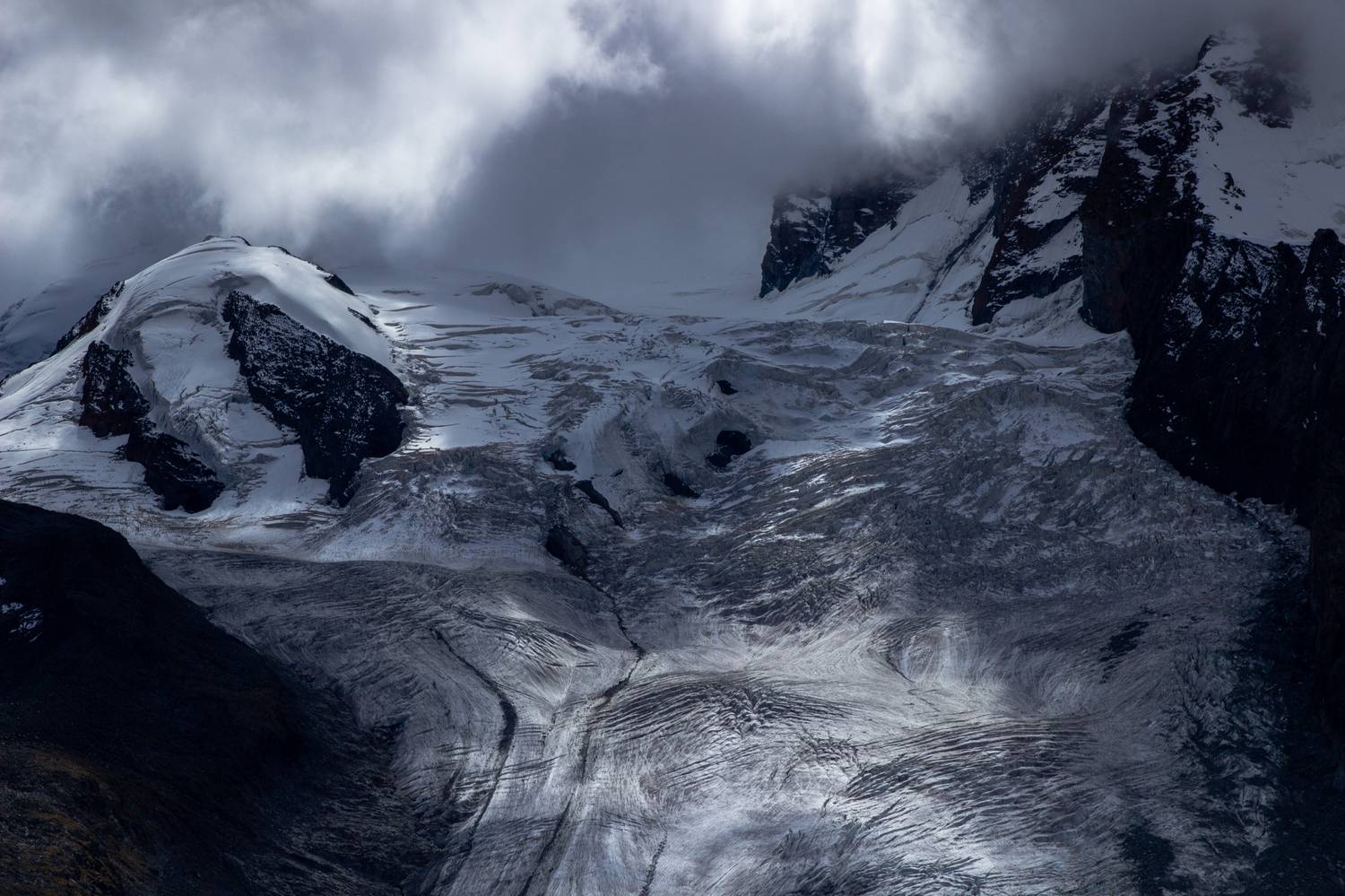 , Евгения Чех