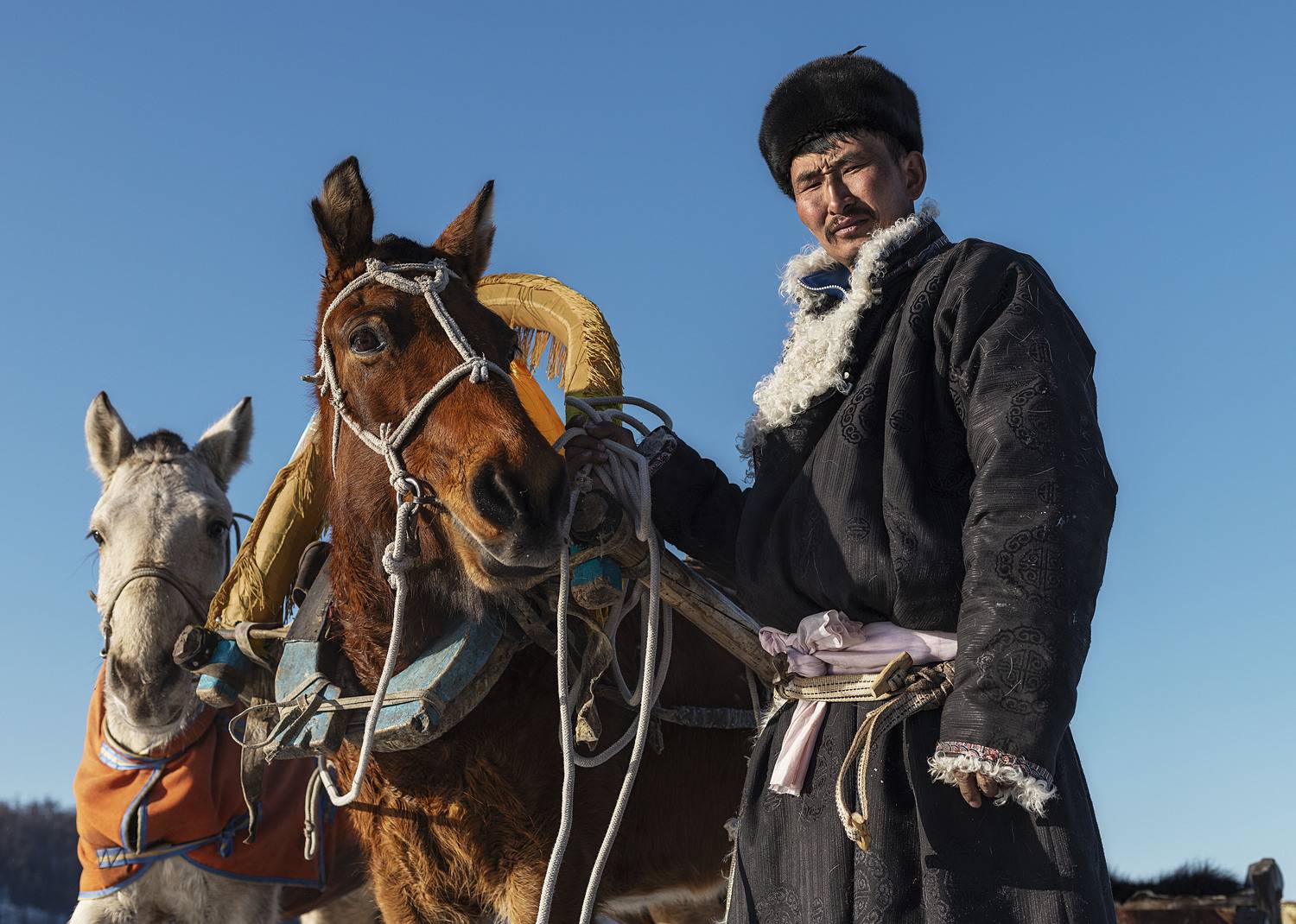 mongolian noamdic winter ice festival khuvsgul lake horse man portrait, ganzorig miimaa