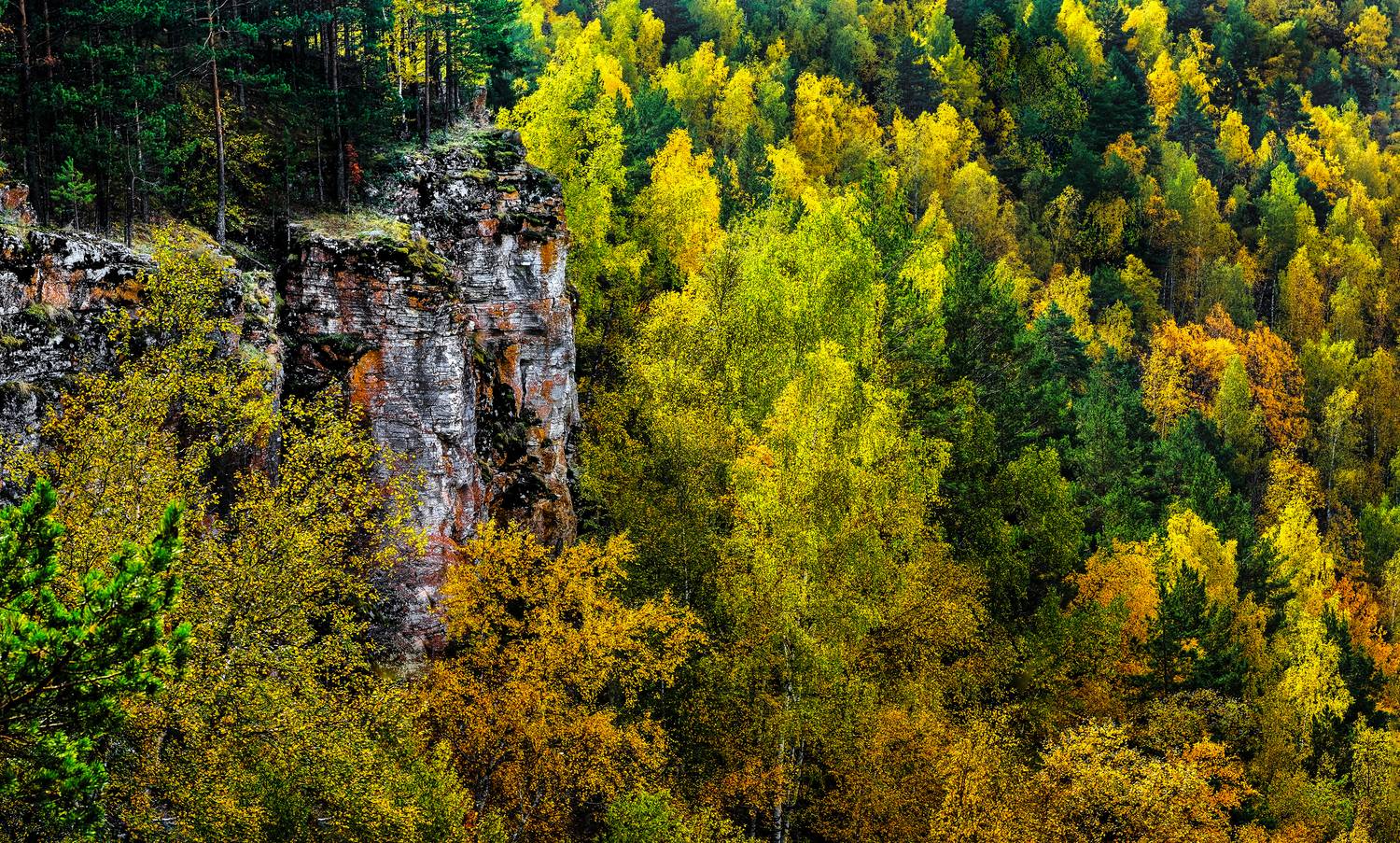 , Ушаков Валерий
