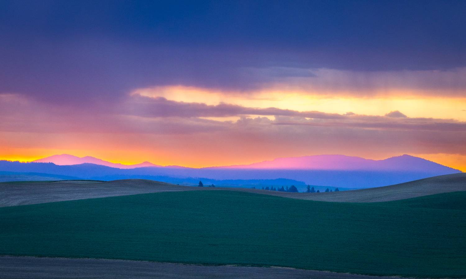 , Лозицкий Александр