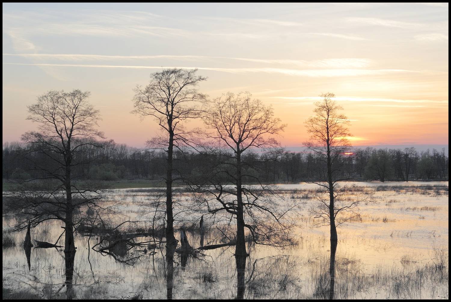 , Сергей Подгоров