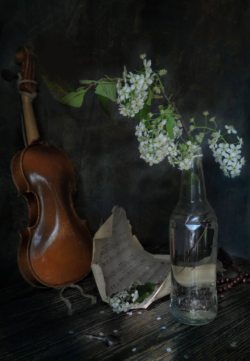 , Ирина Данилова