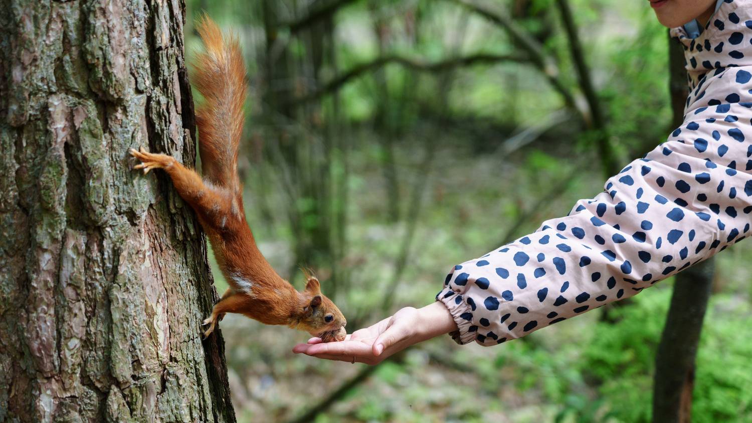 , Вертиков Юрий