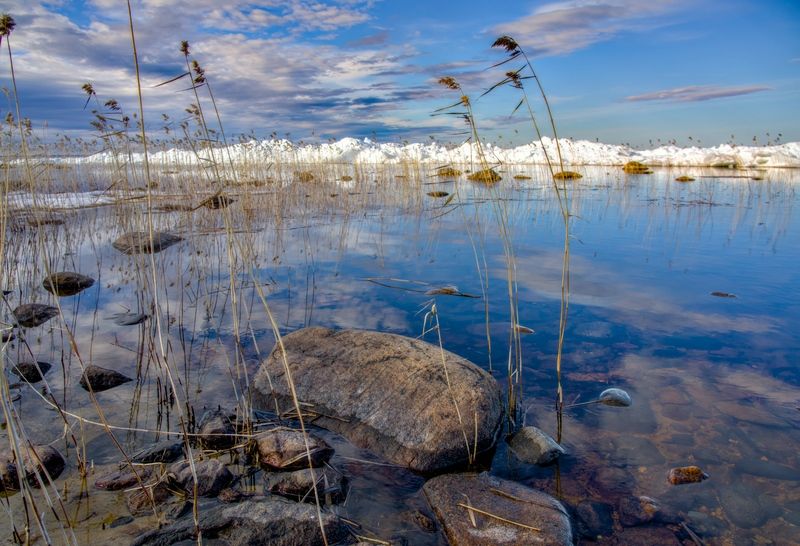 Весна на берегах Онего фото превью