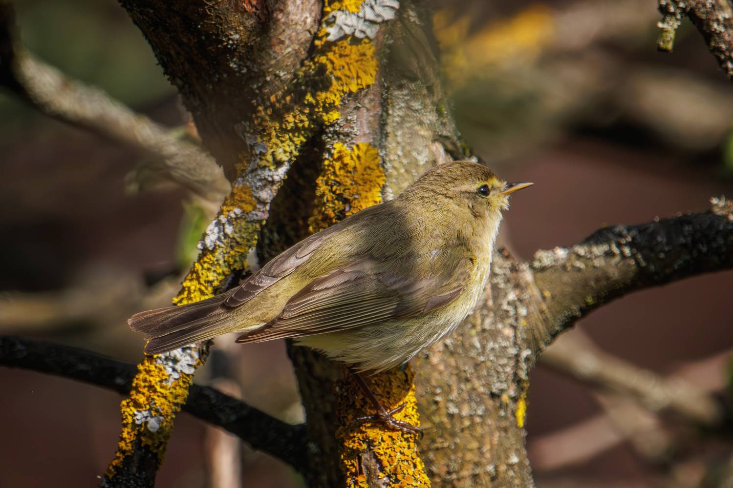 , Морозов Сергей