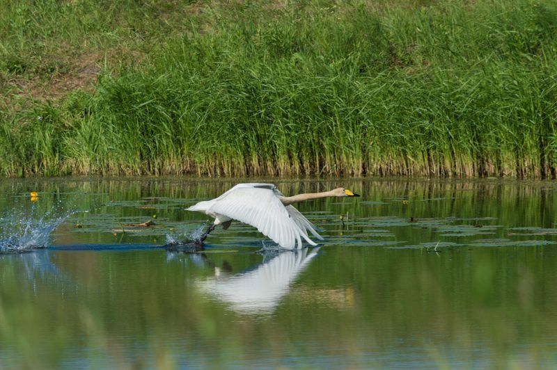 в погоне за счастьем фото превью