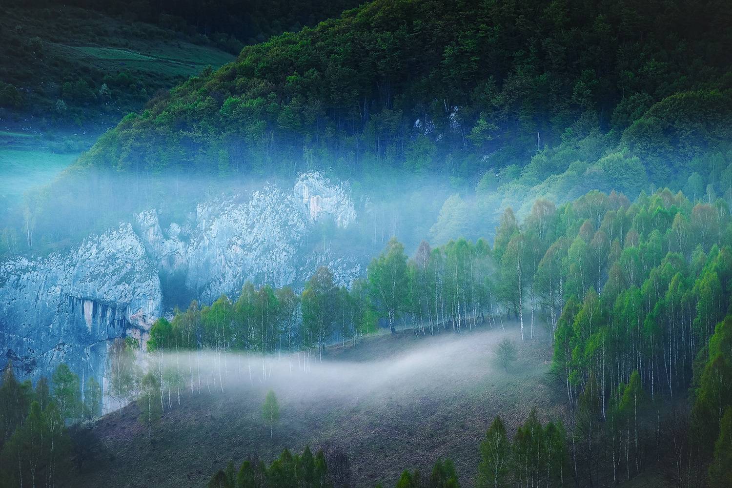 , Stefan Chirobocea