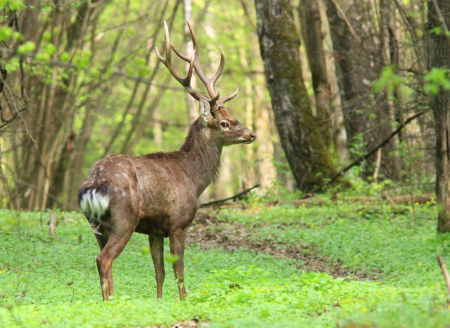, Михаил Крюков