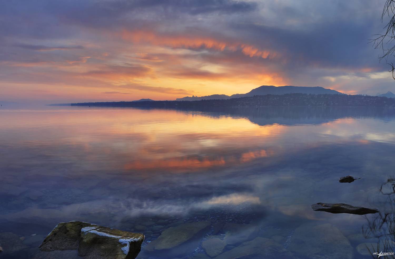 swiss, Матвеев Николай