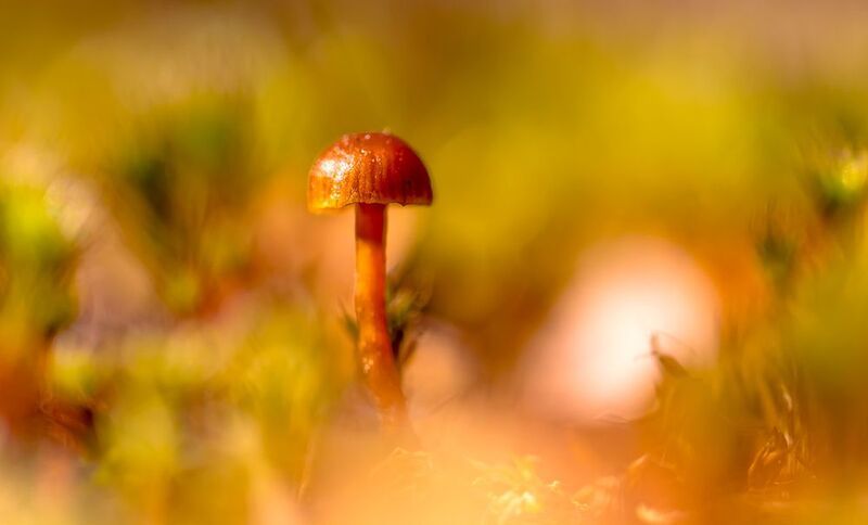 .... фото превью