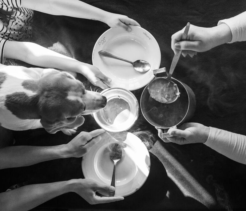 Кушать подано, садитесь... фото превью