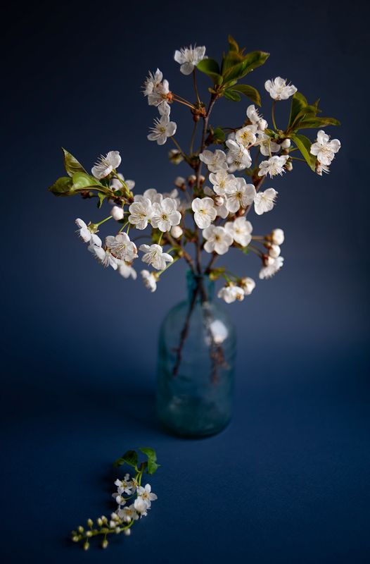 * фото превью