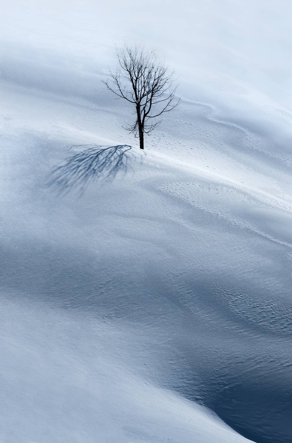 , Валерий Одинцов