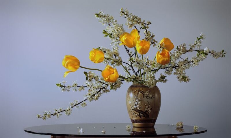 жёлтые тюльпаны, цветы торна Майский этюд фото превью