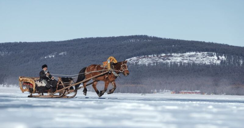 mongolian noamdic winter ice festival khuvsgul lake horse man portrait Mongolian winter ice festival фото превью