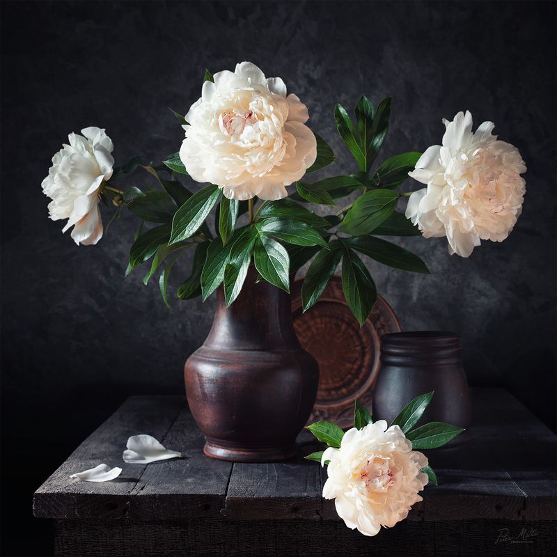 /// фото превью