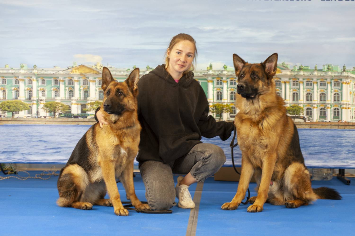 , Георгий Сапожников