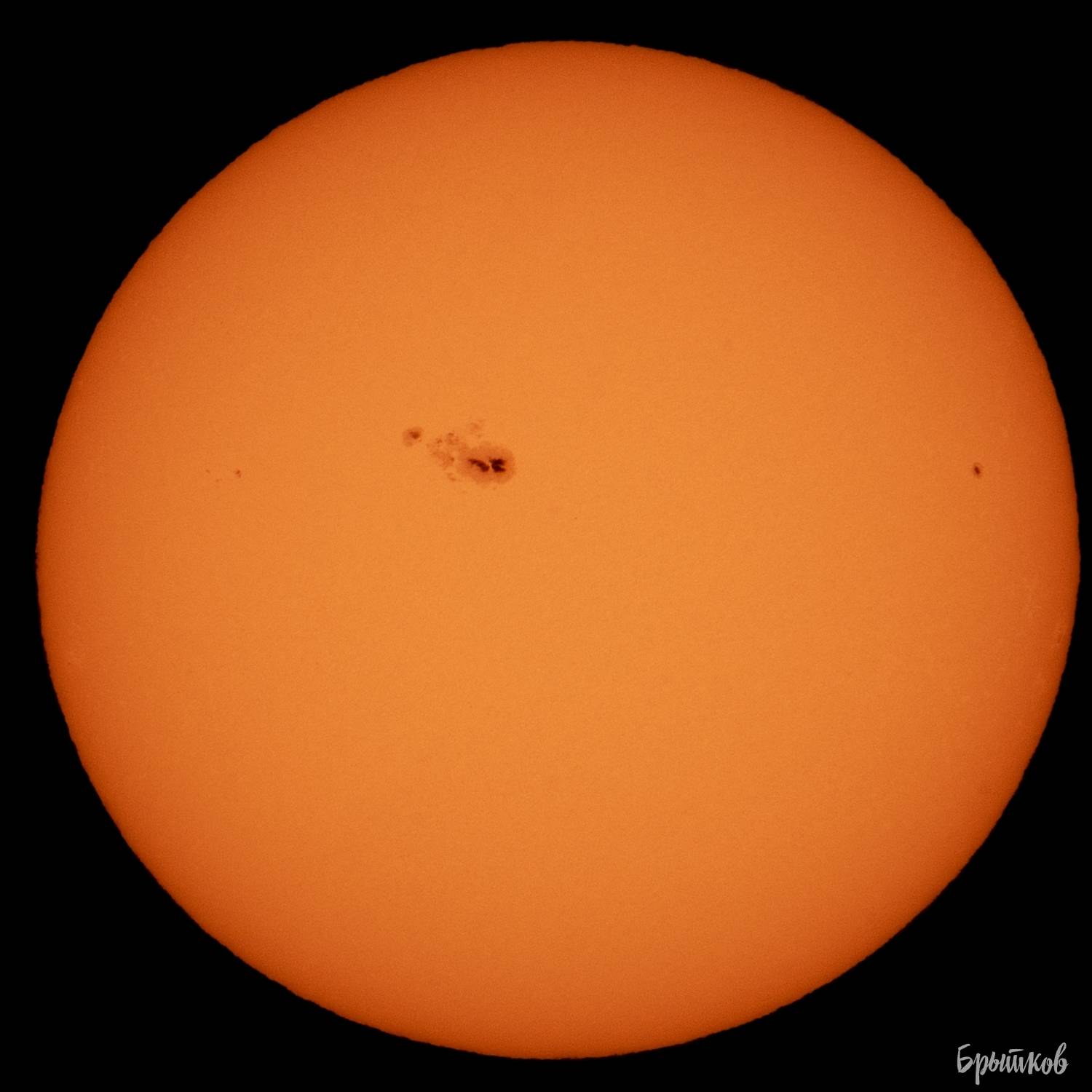 , Николай Брытков