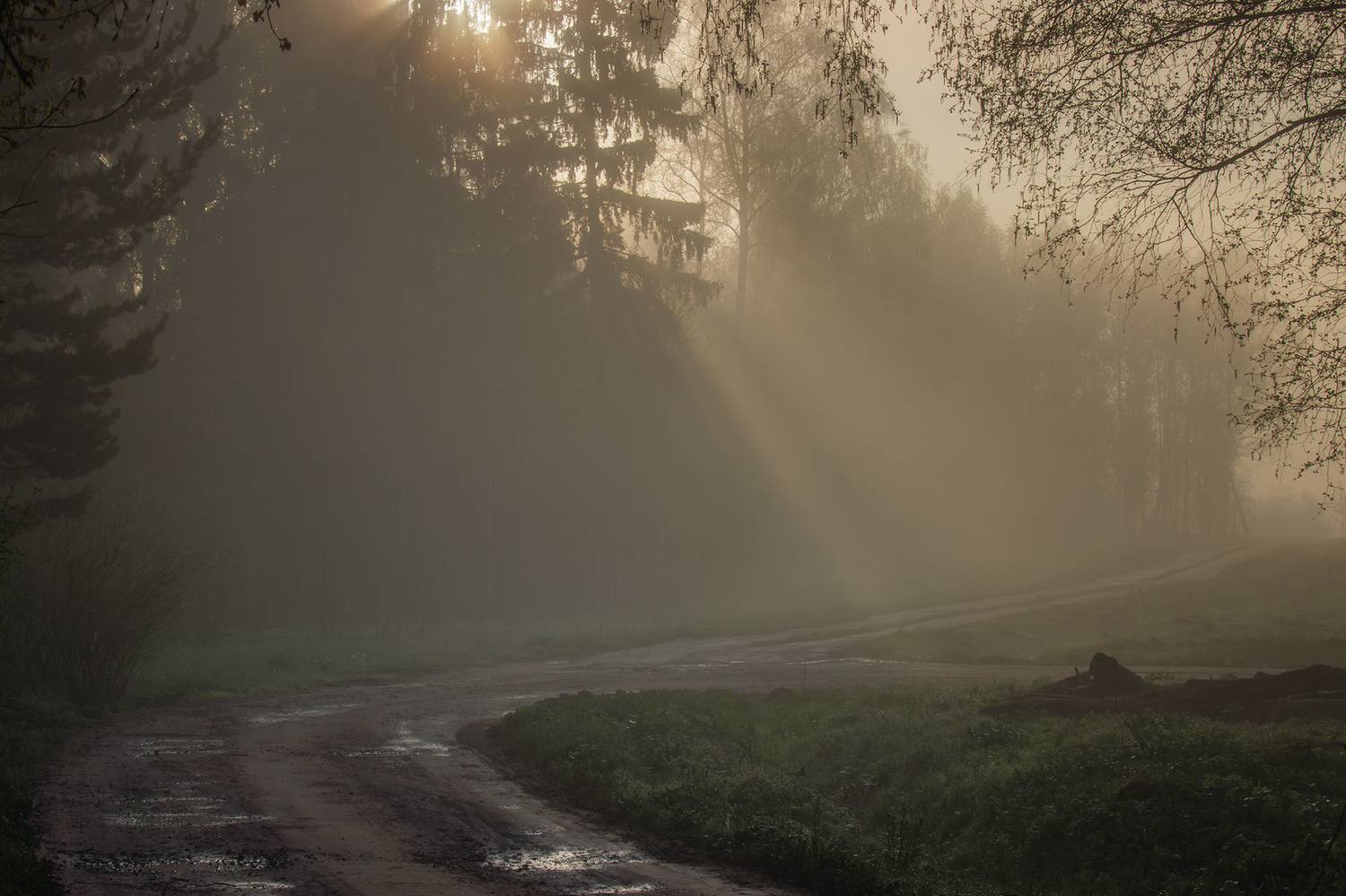 , Морозов Сергей