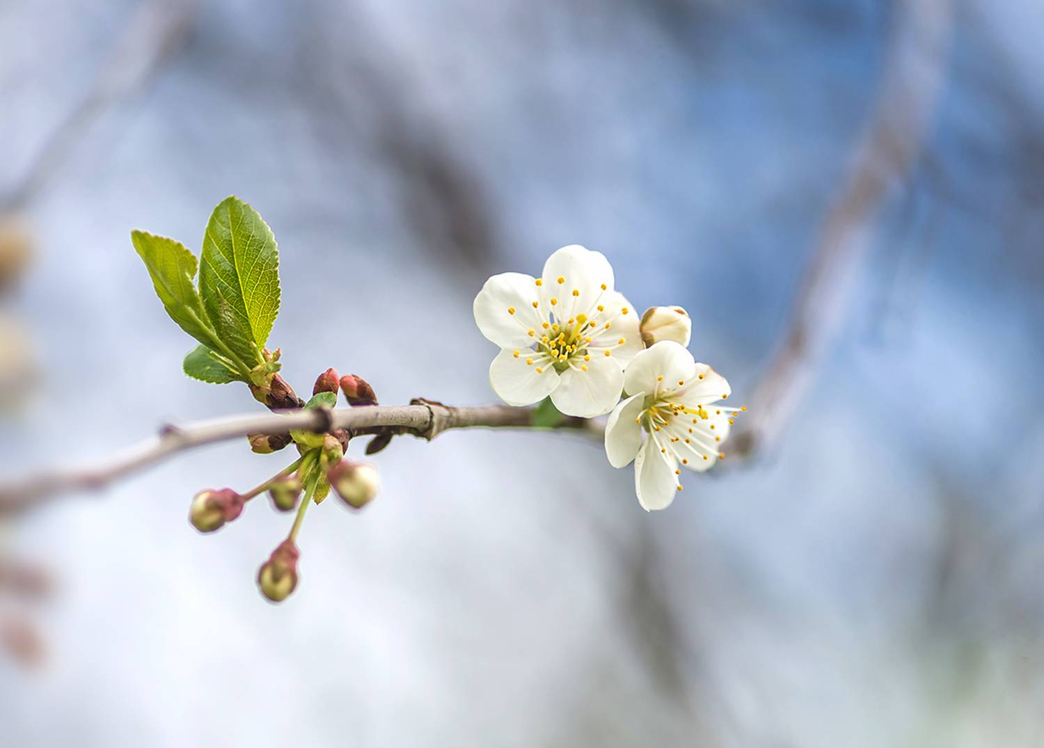 , Наиля Гарифуллина