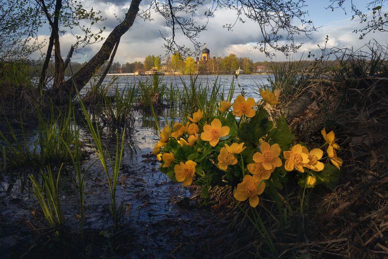 фото превью