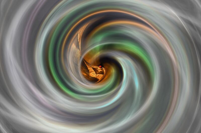 creative, поток, креатив, концепция, забвение, забывание, память, conception, streams, oblivion, forgetting, memory, memories Поток забвения... фото превью